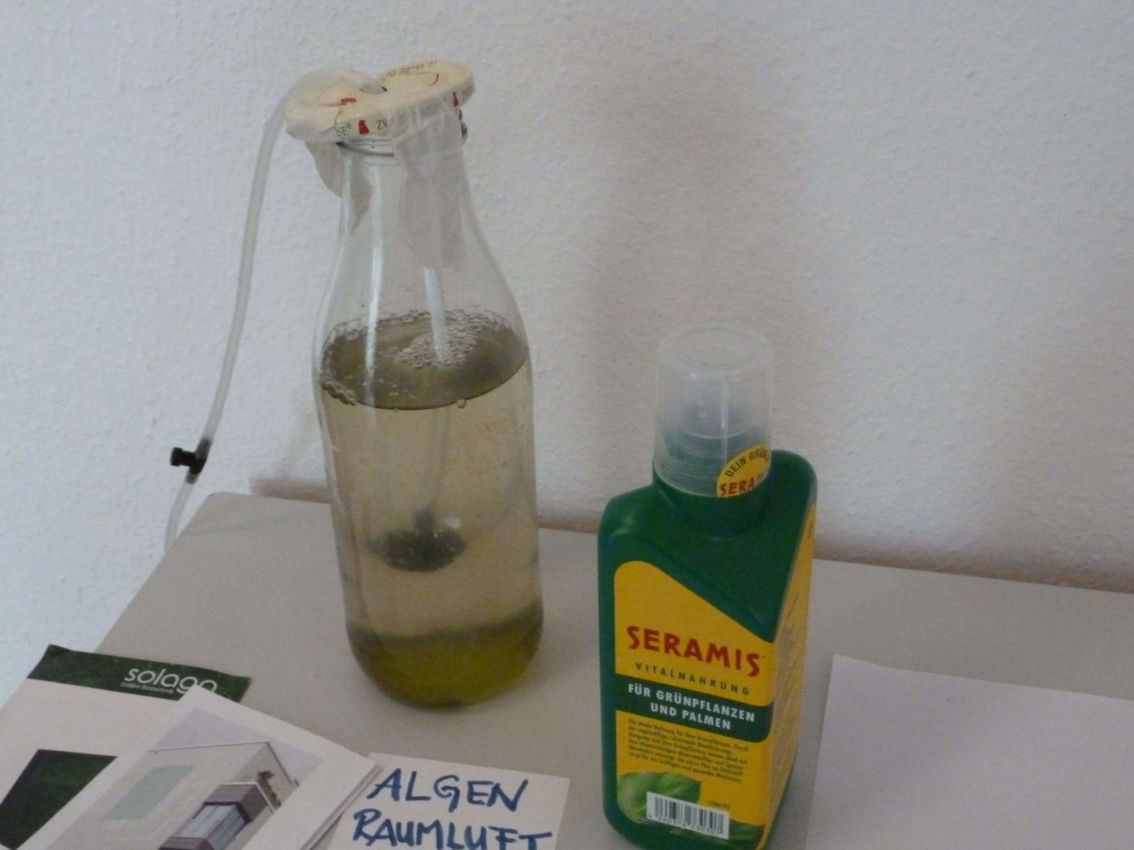 algenfilter