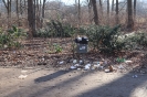 Berlin-Tiergarten_1