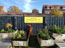 begegnungsgarten_21