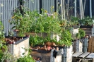 begegnungsgarten_23