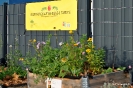 begegnungsgarten_27