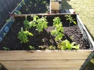 begegnungsgarten_11