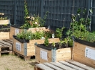 begegnungsgarten_09