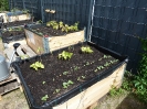 begegnungsgarten_12