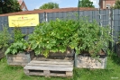 gemuesebeete03