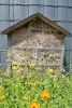 insektenhotel01