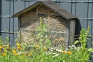 insektenhotel02