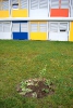 Garten Buch