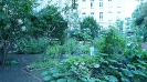 Willkommens-Kultur-Garten Spandau _1