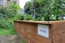 Willkommens-Kultur-Garten Spandau _7